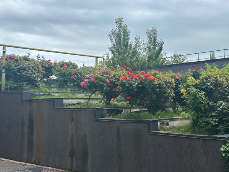 Liberty Mall Filaret Condominiu 2025 Central Adress Residence Duplex superb
