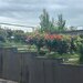 Liberty Mall Filaret Condominiu 2025 Central Adress Residence Duplex superb